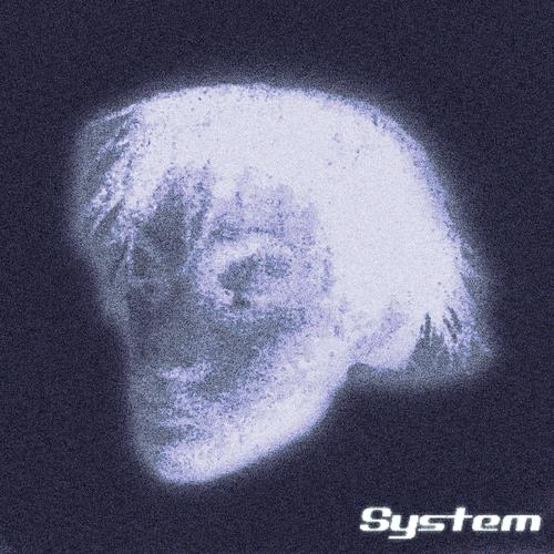 System