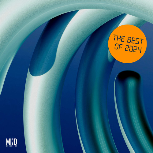 The Best of 2024 Mind Connector Records