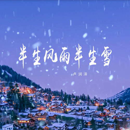 半生风雨半生雪