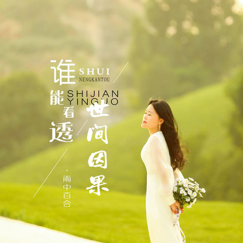 谁能看透世间因果 (DJ版)