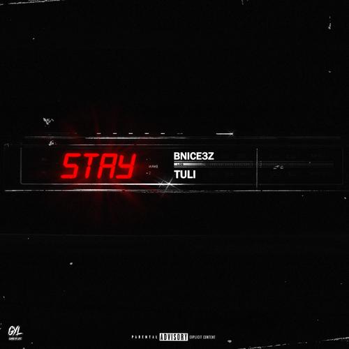 Stay (feat. TULI) [Explicit]