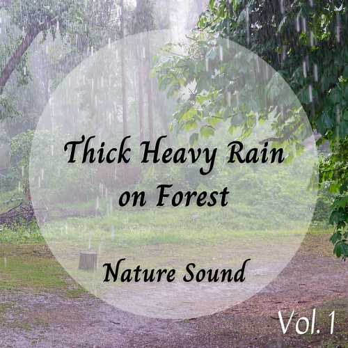 Nature Sound: Thick Heavy Rain on Forest Vol. 1