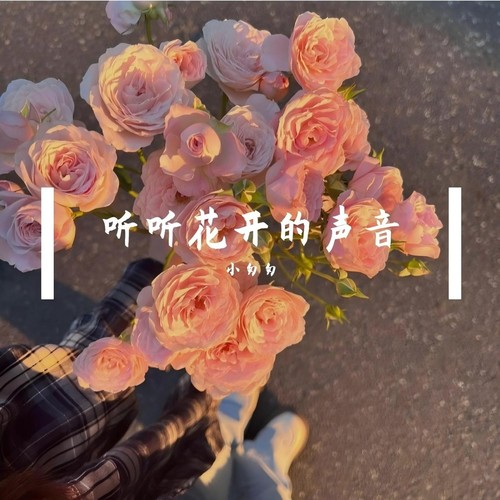 听听花开的声音