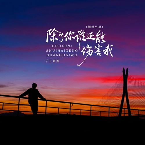 除了你谁还能伤害我（烟嗓男版）