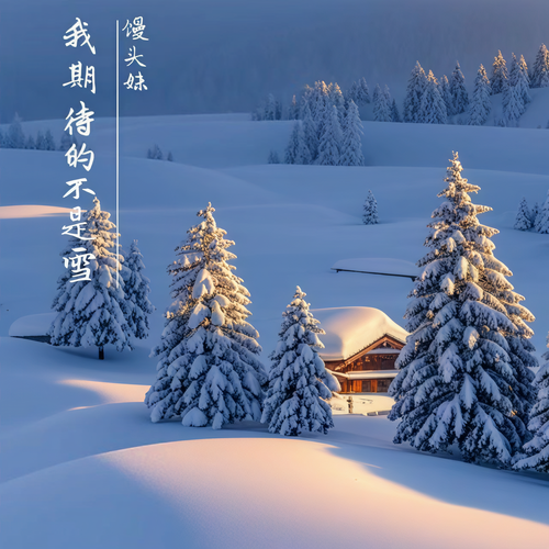 我期待的不是雪