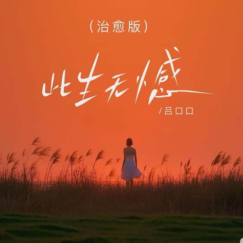 此生无憾