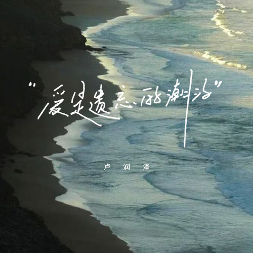 爱是遗忘的潮汐
