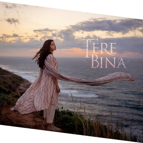 Tere Bina