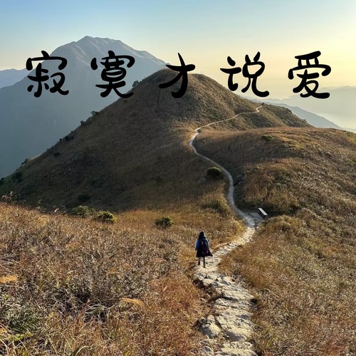 寂寞才说爱 (纯享版)