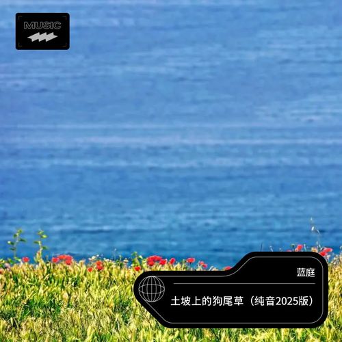 土坡上的狗尾草    （纯音2025版）
