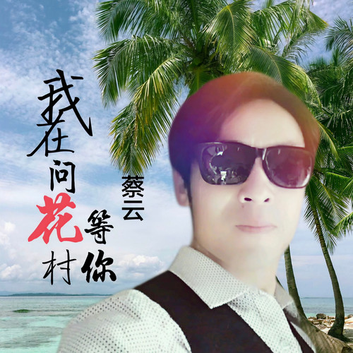 我在问花村等你