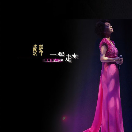 一起走来 - 2001香港红磡演唱会 (Live)
