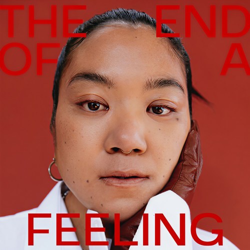 The End Of A Feeling (Explicit)