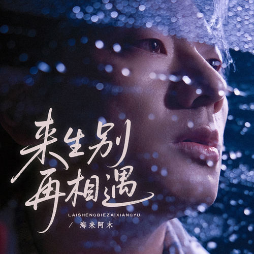 来生别再相遇