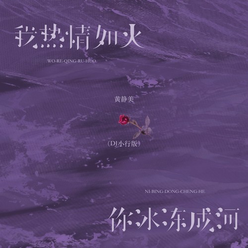 我热情如火，你冰冻成河（DJ小行版）