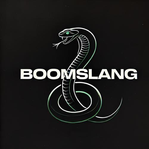 BOOMSLANG (feat. Brainspin) [Explicit]