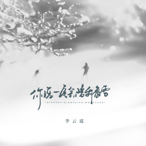 你说一定会陪我看雪