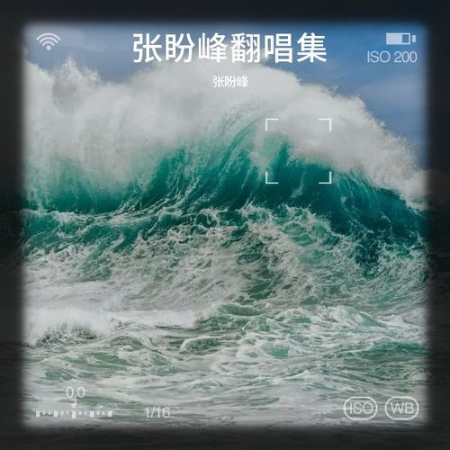 张盼峰翻唱集