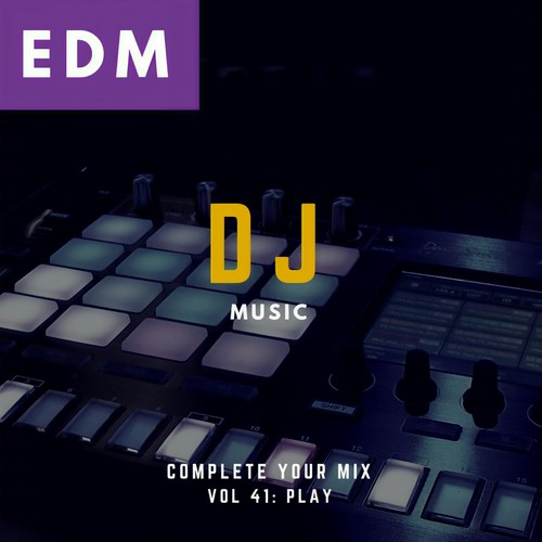 DJ Music - Complete Your Mix, Vol. 41