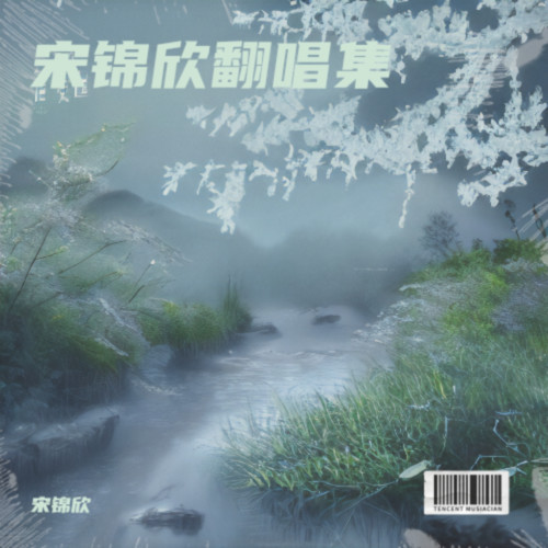 宋锦欣翻唱集