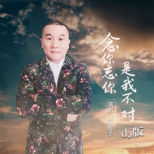念你忘你是我不对 (DJ沈念版)