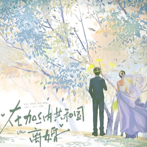 在加纳共和国离婚（新版）