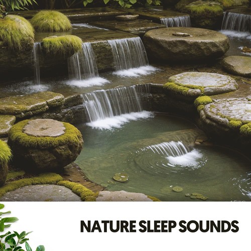 Nature Sleep Sounds: Enchanted Forest Songs