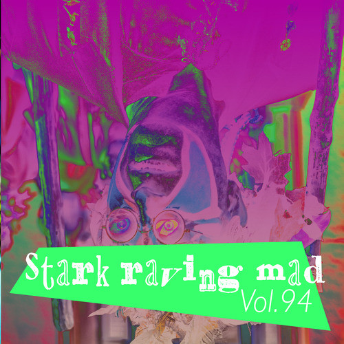 Stark Raving Mad, Vol. 94 (Explicit)