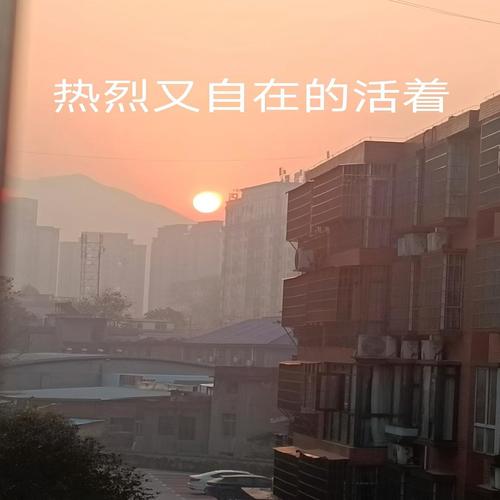 热烈又自在的活着