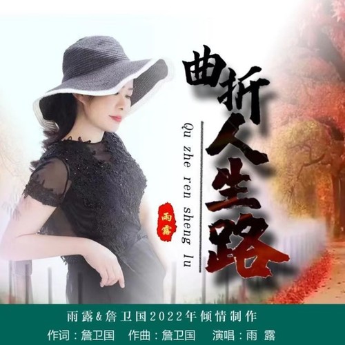 曲折人生路
