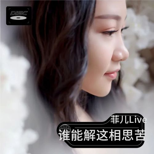 谁能解这相思苦