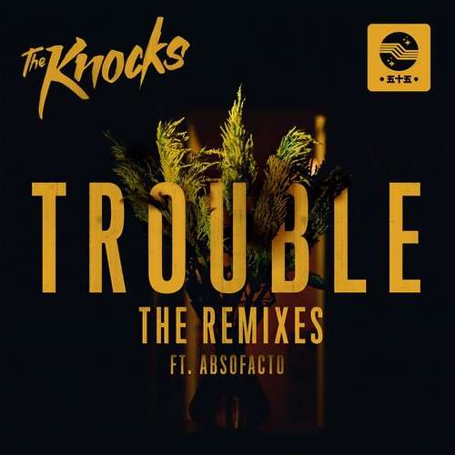 TROUBLE (Remixes)