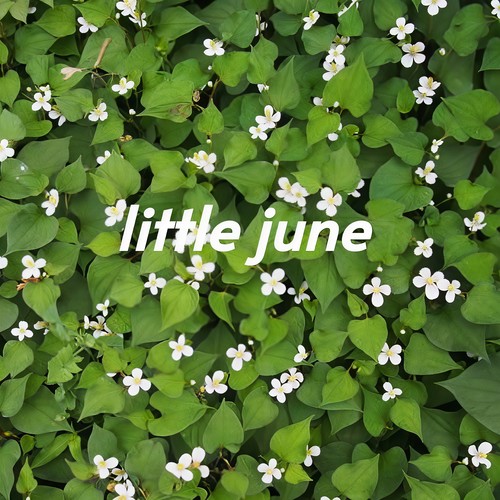 Little June