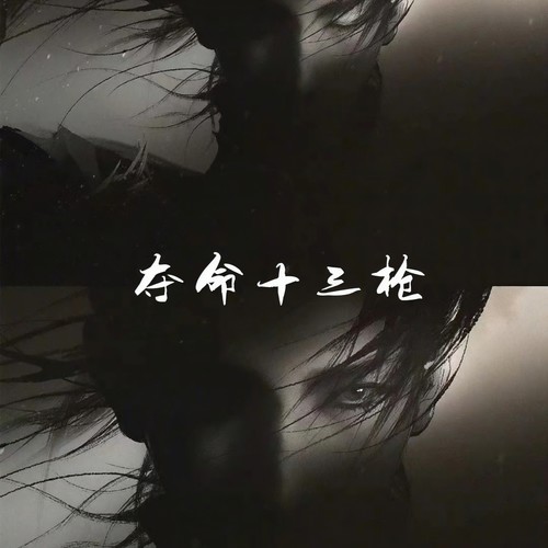 夺命十三枪