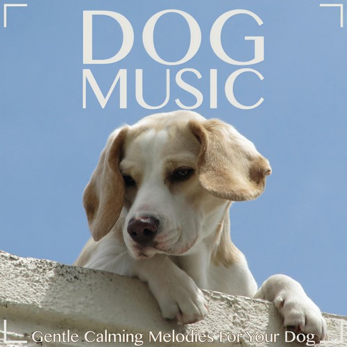 Dog Music: Gentle Calming Melodies for Your Dog