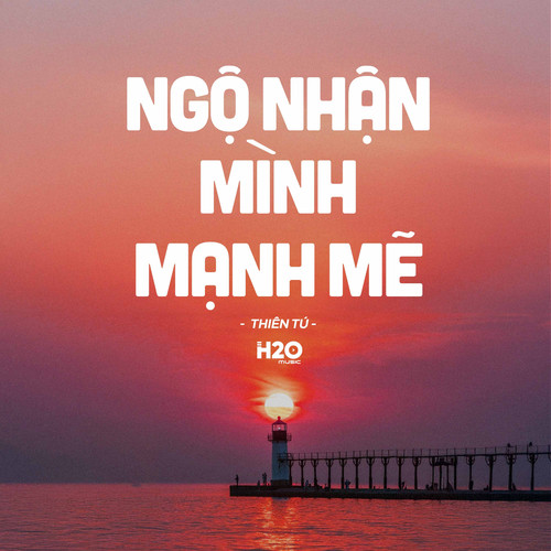 Ngộ Nhận Mình Mạnh Mẽ (Lofi)