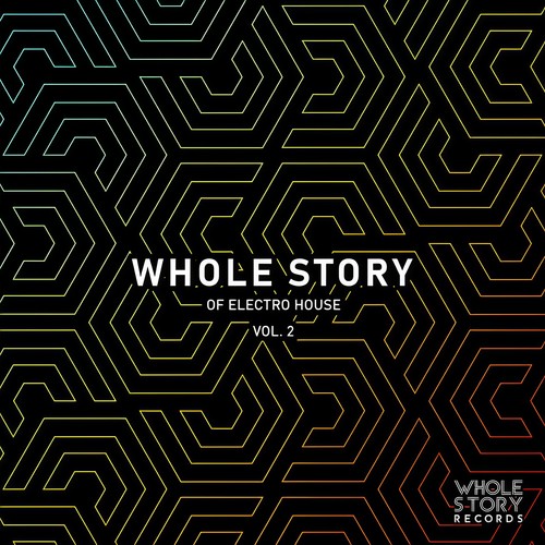 Whole Story Of Electro House Vol. 2
