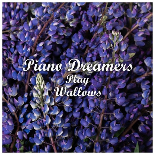 Piano Dreamers Play Wallows (Instrumental)