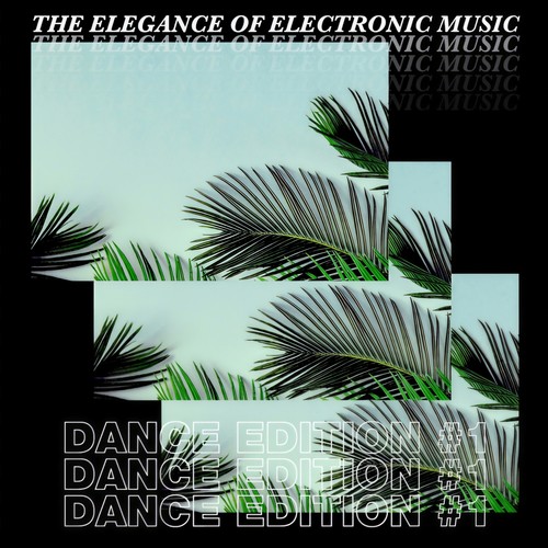 The Elegance of Electronic Music - Dance Edition #1