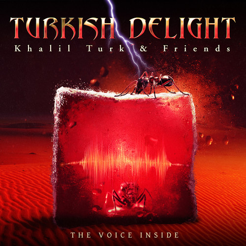 The Voice Inside Turkish Delight