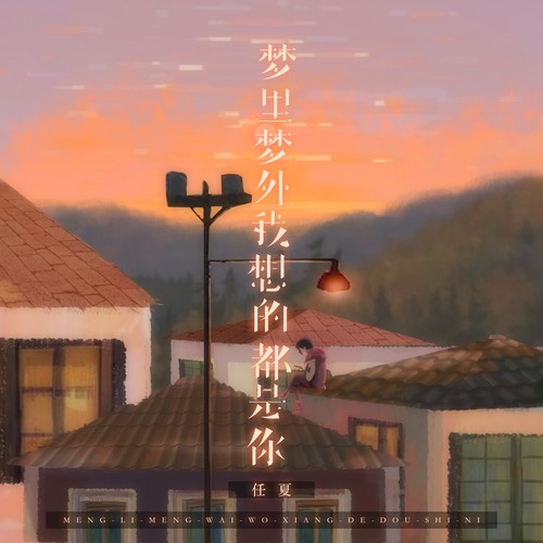 梦里梦外我想的都是你