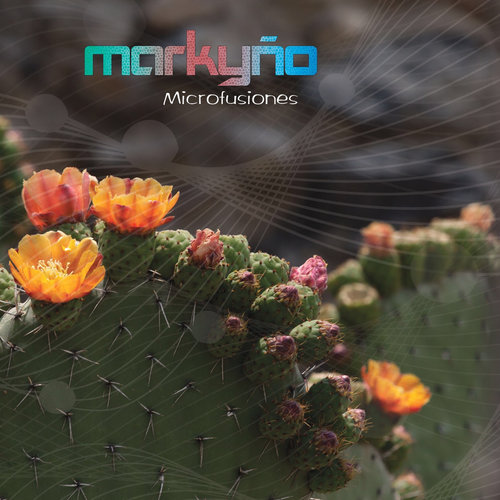 Microfusiones
