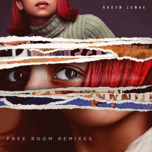 Free Room (Remixes)