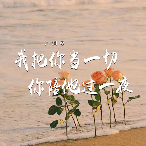 我把你当一切 你陪他过一夜