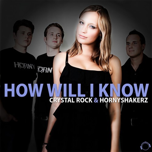 How Will I Know (Remix Bundle)