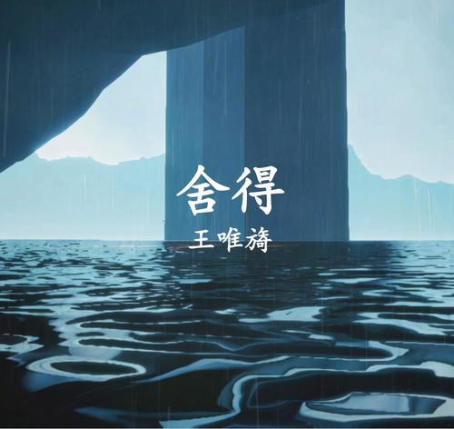 舍得（纯乐器演奏版）