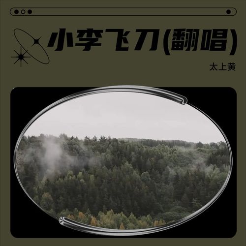 搀扶小李飞刀