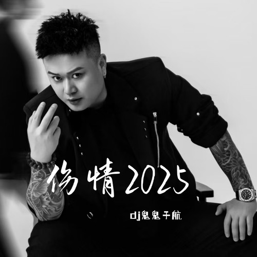 伤情2025（深情版）
