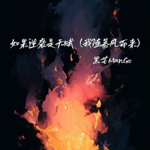 如果逆袭是天赋(我随暴风而来)