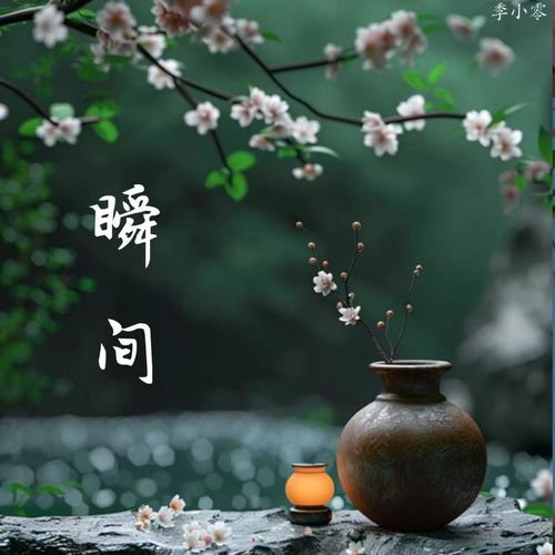 瞬间 (Explicit)